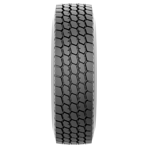 Ptx CD21 (E-2) 